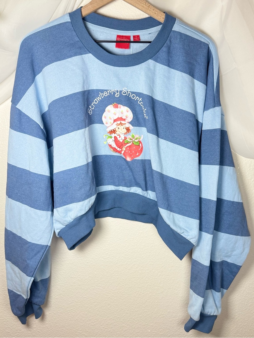Strawberry Shortcake Blue Striped Cropped Crewneck Sweatshirt